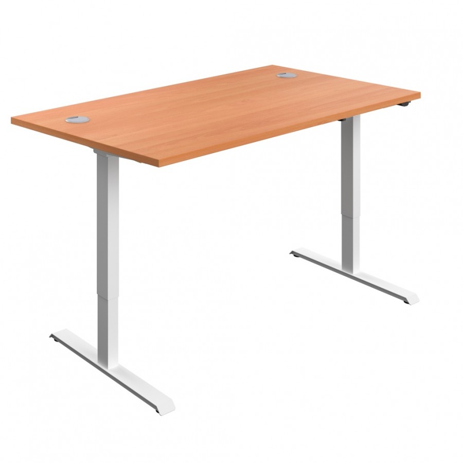 Olton Single Motor Sit Stand Desk 